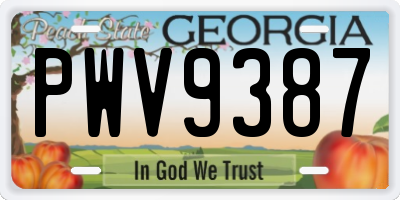 GA license plate PWV9387