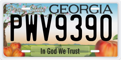 GA license plate PWV9390