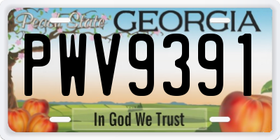 GA license plate PWV9391