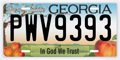 GA license plate PWV9393