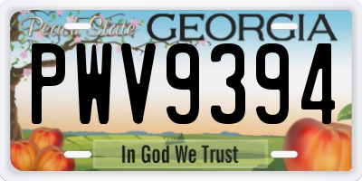 GA license plate PWV9394