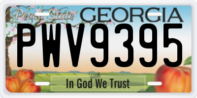 GA license plate PWV9395