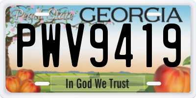 GA license plate PWV9419