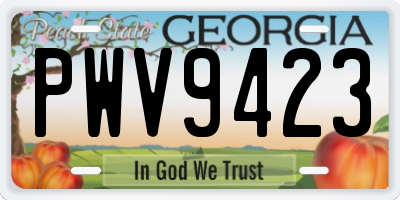 GA license plate PWV9423