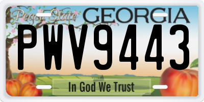 GA license plate PWV9443