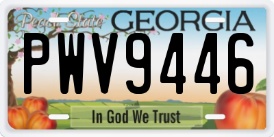 GA license plate PWV9446