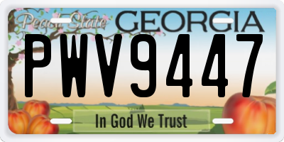 GA license plate PWV9447