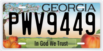 GA license plate PWV9449