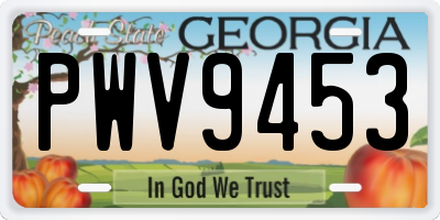 GA license plate PWV9453