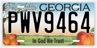 GA license plate PWV9464