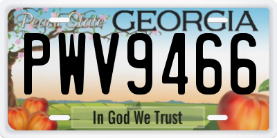 GA license plate PWV9466