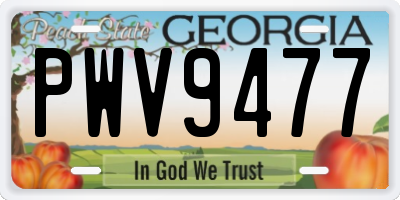GA license plate PWV9477