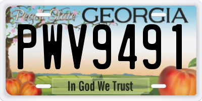 GA license plate PWV9491