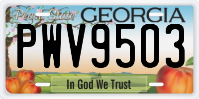 GA license plate PWV9503