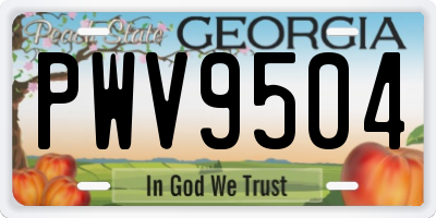 GA license plate PWV9504