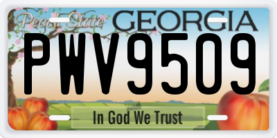 GA license plate PWV9509