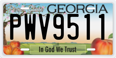 GA license plate PWV9511