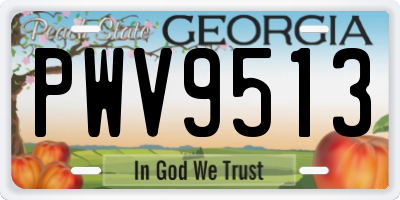 GA license plate PWV9513