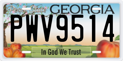 GA license plate PWV9514