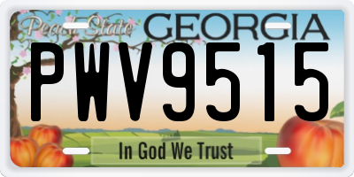 GA license plate PWV9515