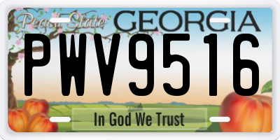 GA license plate PWV9516