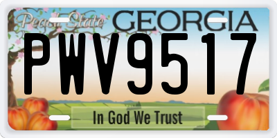 GA license plate PWV9517