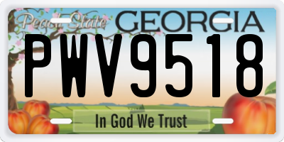 GA license plate PWV9518
