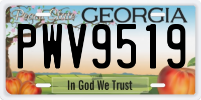 GA license plate PWV9519