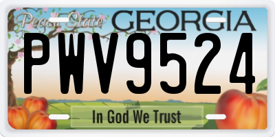 GA license plate PWV9524