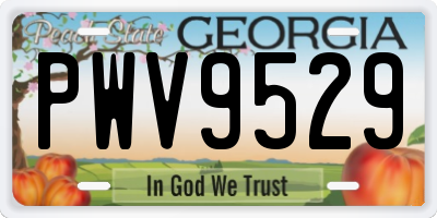 GA license plate PWV9529