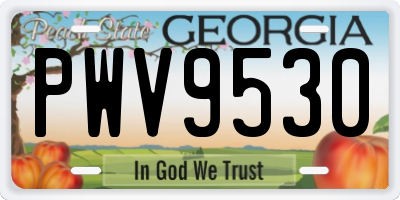 GA license plate PWV9530