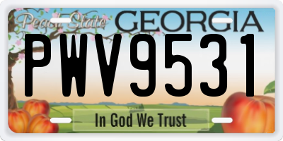 GA license plate PWV9531