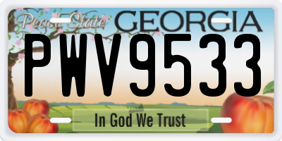 GA license plate PWV9533