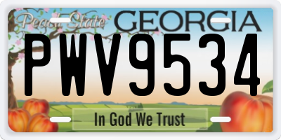 GA license plate PWV9534