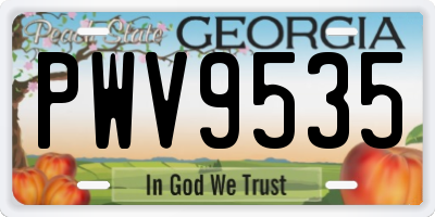 GA license plate PWV9535