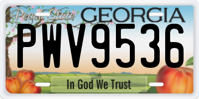 GA license plate PWV9536