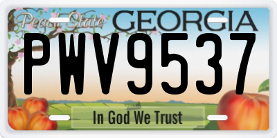 GA license plate PWV9537