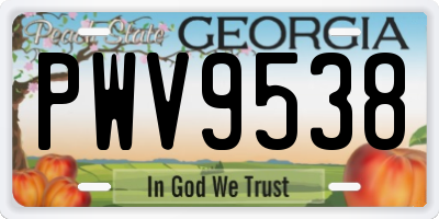 GA license plate PWV9538