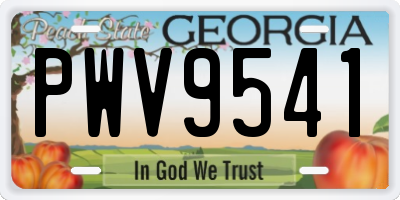GA license plate PWV9541
