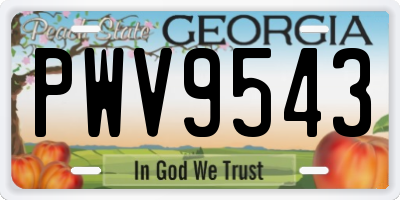 GA license plate PWV9543