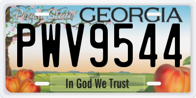 GA license plate PWV9544