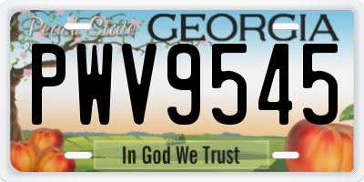 GA license plate PWV9545
