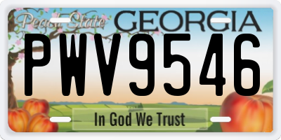 GA license plate PWV9546