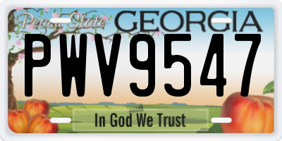 GA license plate PWV9547