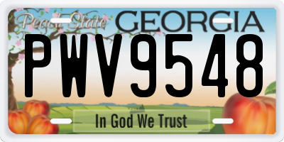 GA license plate PWV9548