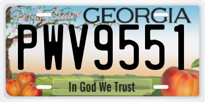 GA license plate PWV9551