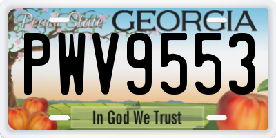 GA license plate PWV9553