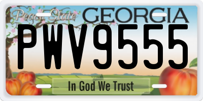 GA license plate PWV9555