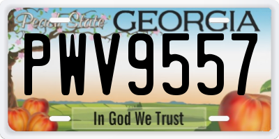 GA license plate PWV9557