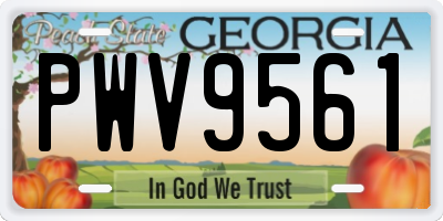 GA license plate PWV9561